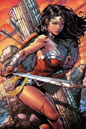 Hero / Villain | Wonder Woman by David Finch