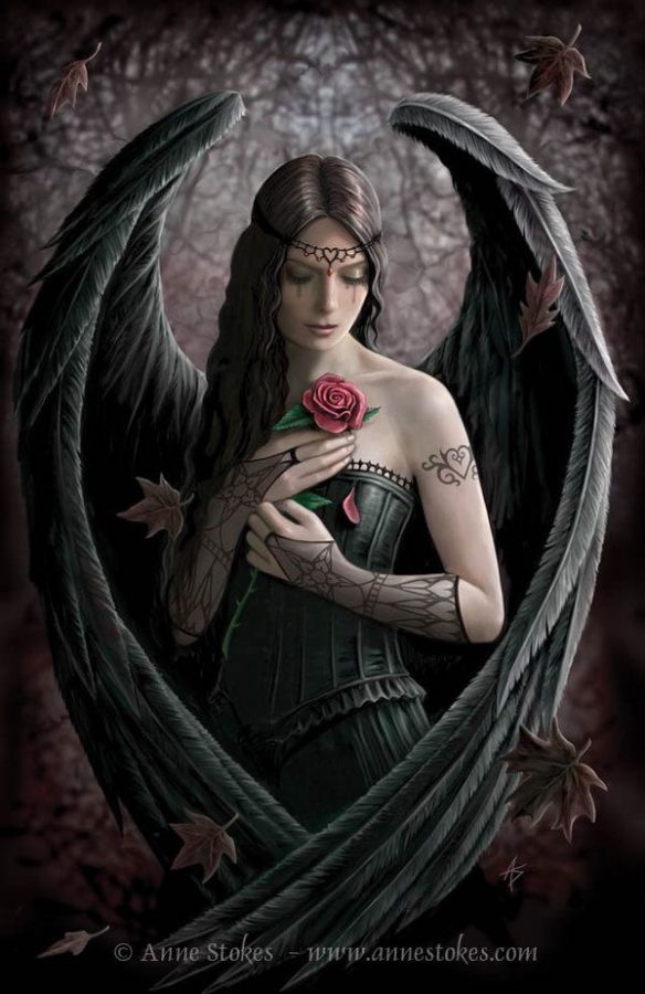 Artwork by Anne Stokes