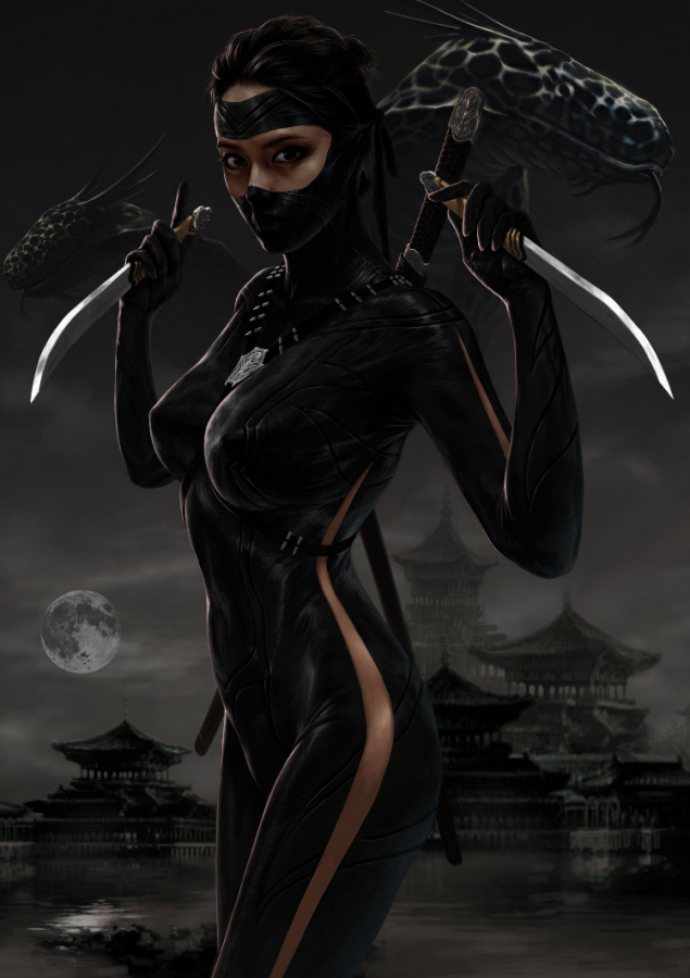 Ninja by anna montoya